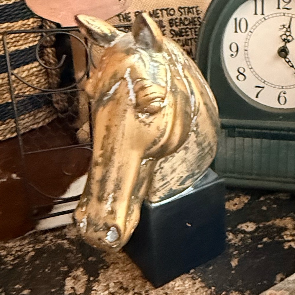 Horse Head